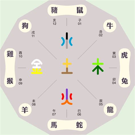 淳五行|淳的五行属性是什么